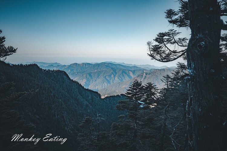 【玉山主峰單攻】一日單攻台灣最高峰，新手百岳攻略行前準備，申請、交通、裝備 - 貪吃猴的幻想