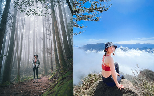 【比大鳥縱走】苗栗中級山推薦,迷幻森林超仙。鳥嘴山、大窩山、比林山 - 貪吃猴的幻想