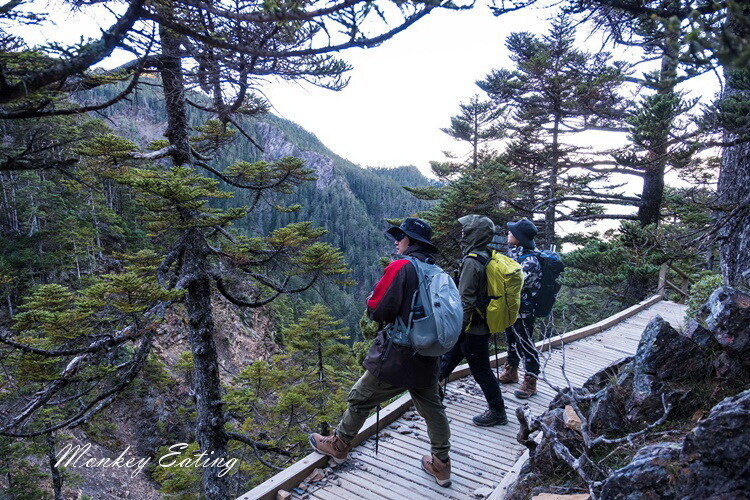 【玉山主峰單攻】一日單攻台灣最高峰，新手百岳攻略行前準備，申請、交通、裝備 - 貪吃猴的幻想