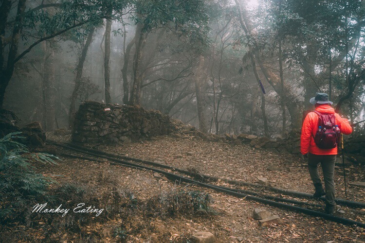 【比大鳥縱走】苗栗中級山推薦,迷幻森林超仙。鳥嘴山、大窩山、比林山 - 貪吃猴的幻想