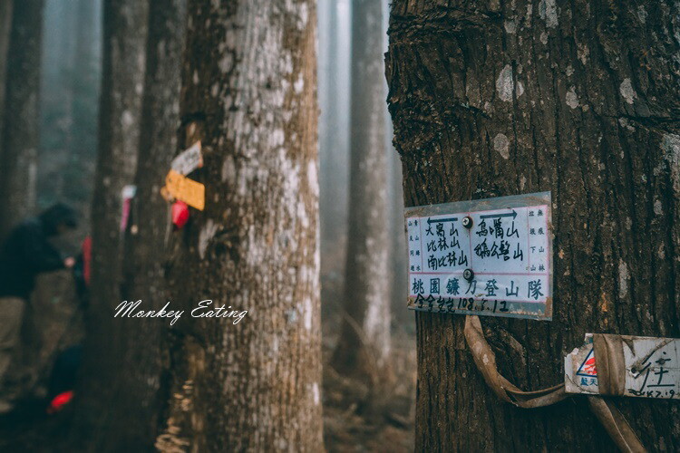 【比大鳥縱走】苗栗中級山推薦,迷幻森林超仙。鳥嘴山、大窩山、比林山 - 貪吃猴的幻想
