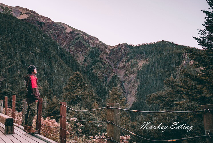 【玉山主峰單攻】一日單攻台灣最高峰，新手百岳攻略行前準備，申請、交通、裝備 - 貪吃猴的幻想