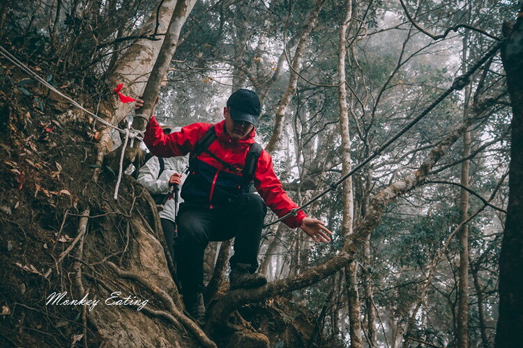【比大鳥縱走】苗栗中級山推薦,迷幻森林超仙。鳥嘴山、大窩山、比林山 - 貪吃猴的幻想