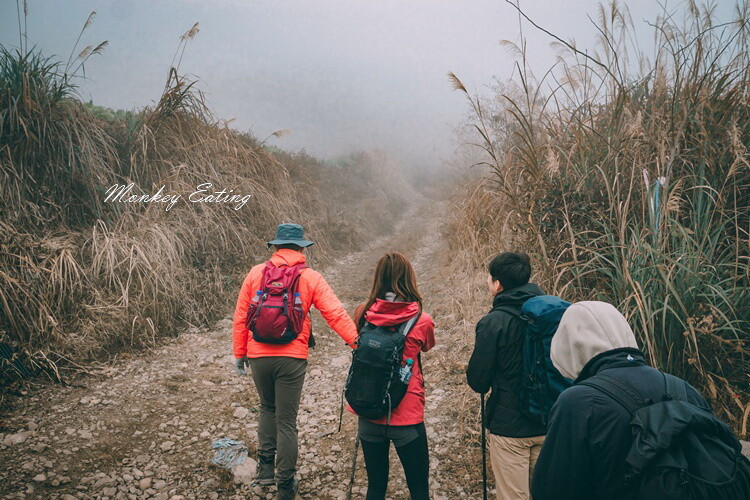 【比大鳥縱走】苗栗中級山推薦,迷幻森林超仙。鳥嘴山、大窩山、比林山 - 貪吃猴的幻想