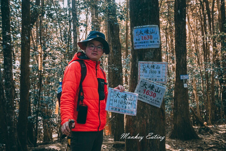 【大雪山林道】長壽山1860峰、大崠山P型連走。絕美香杉林道、竹木林道 - 貪吃猴的幻想