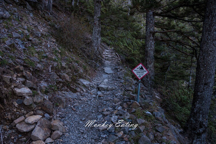 【玉山主峰單攻】一日單攻台灣最高峰，新手百岳攻略行前準備，申請、交通、裝備 - 貪吃猴的幻想