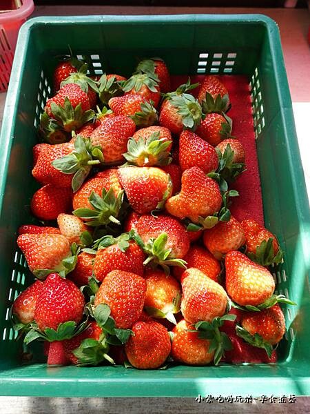 直接買-舞夜天草莓園.jpg