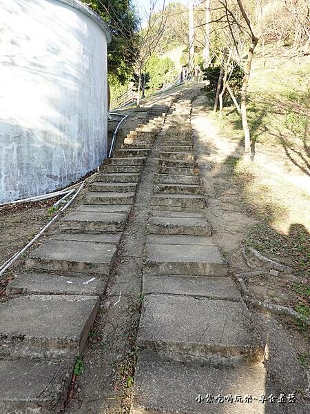 巧遇露營區旁-新田山登山步道 (2).jpg