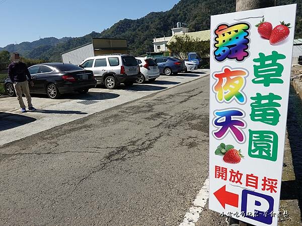 舞夜天草莓園停車場 (1).jpg