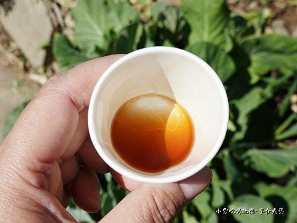 草莓露-舞夜天草莓園 (2)59.jpg