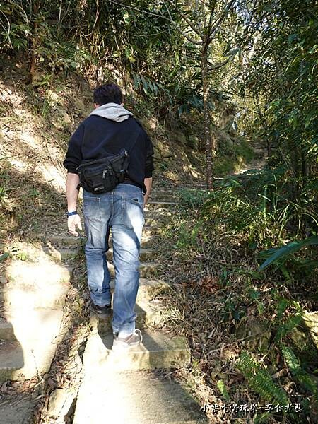 巧遇露營區旁-新田山登山步道 (3).jpg
