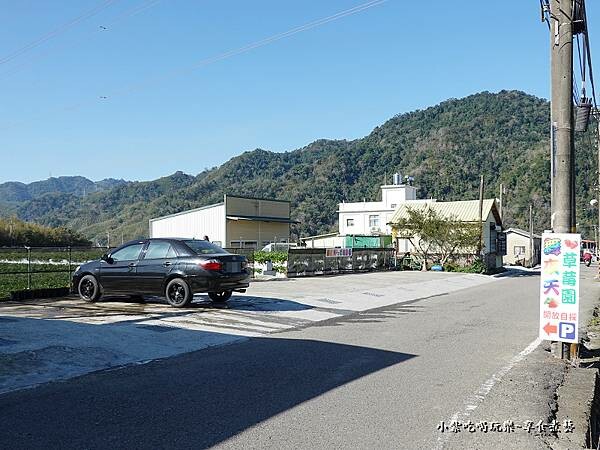 舞夜天草莓園停車場 (2).jpg