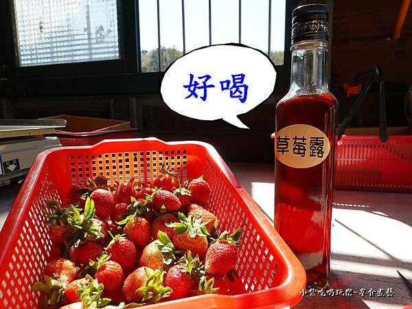 草莓露-舞夜天草莓園.jpg