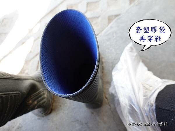 有雨鞋可穿-舞夜天草莓園 (2).jpg