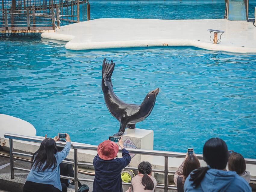 台灣第一座海洋公園,你去過了嗎?