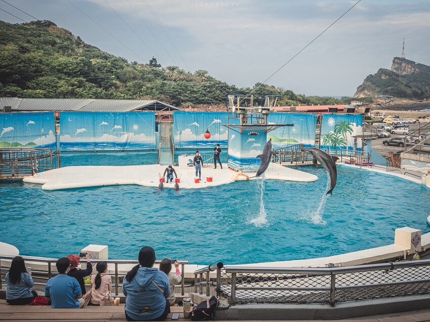 台灣第一座海洋公園,你去過了嗎?