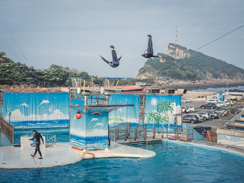 台灣第一座海洋公園,你去過了嗎?