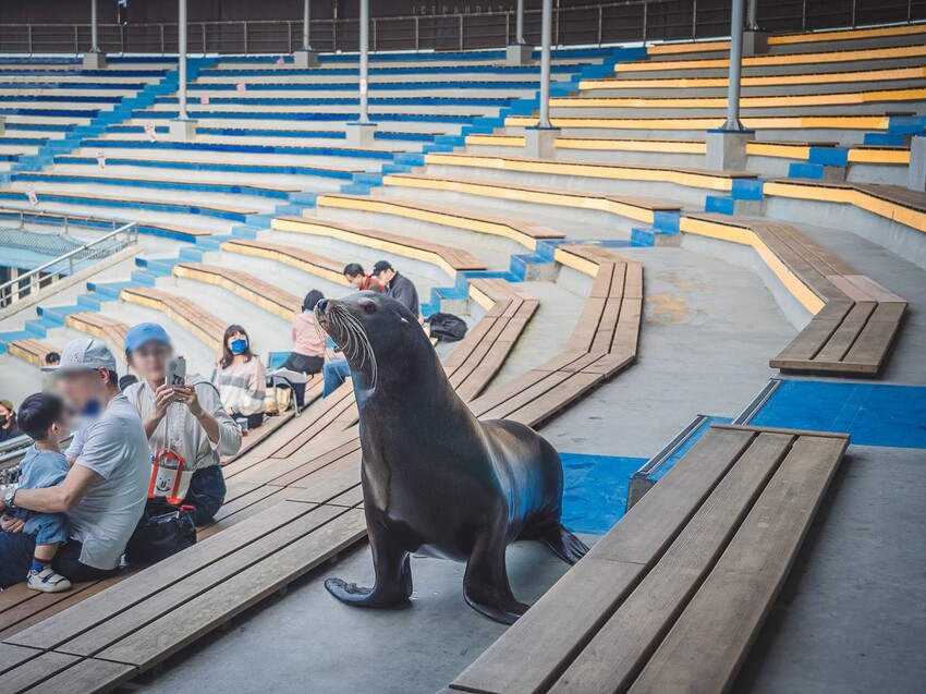 台灣第一座海洋公園,你去過了嗎?