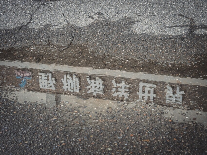 台灣第一座海洋公園,你去過了嗎?