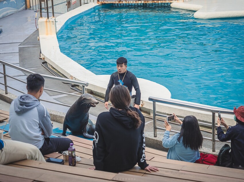 台灣第一座海洋公園,你去過了嗎?