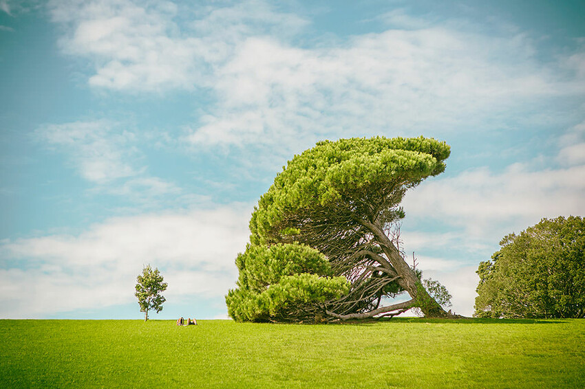 紐西蘭自由行 | 奧克蘭精選 Top 10 必走景點推薦 | 日出、夕陽、山景、海景、市景一次囊括！