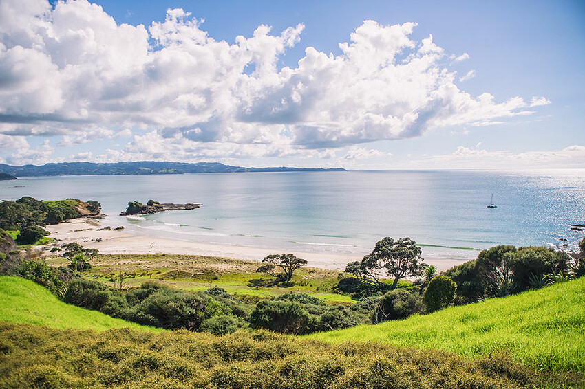 紐西蘭自由行 | 奧克蘭精選 Top 10 必走景點推薦 | 日出、夕陽、山景、海景、市景一次囊括！