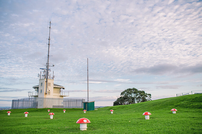 紐西蘭自由行 | 奧克蘭精選 Top 10 必走景點推薦 | 日出、夕陽、山景、海景、市景一次囊括！