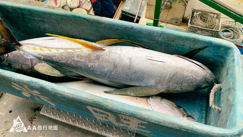 綠島南寮碼頭|往返台東與綠島的唯一碼頭