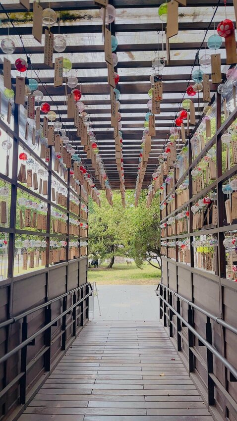 桃園忠烈祠暨神社文化園區-平日輕鬆遊.祈福(免門票，可帶狗，絕美風鈴祈福廊附影片）