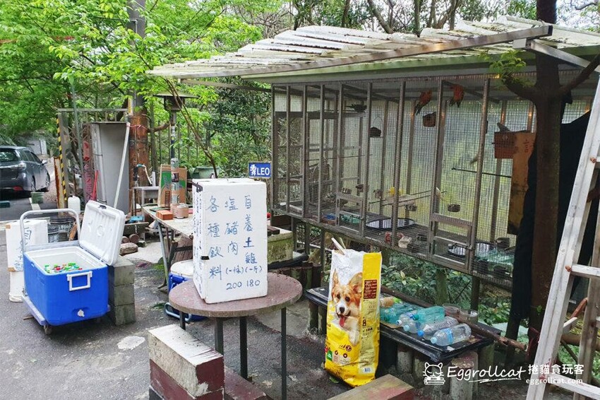 【新北景點】汐止新山夢湖-天使仙境夢幻湖景，療癒一日遊打卡秘境