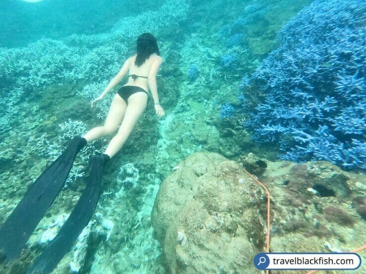 【澎湖南方四島國家公園】驚喜不斷跳島一日遊,浮潛自潛SUP