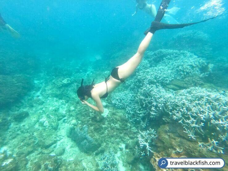 【澎湖南方四島國家公園】驚喜不斷跳島一日遊,浮潛自潛SUP
