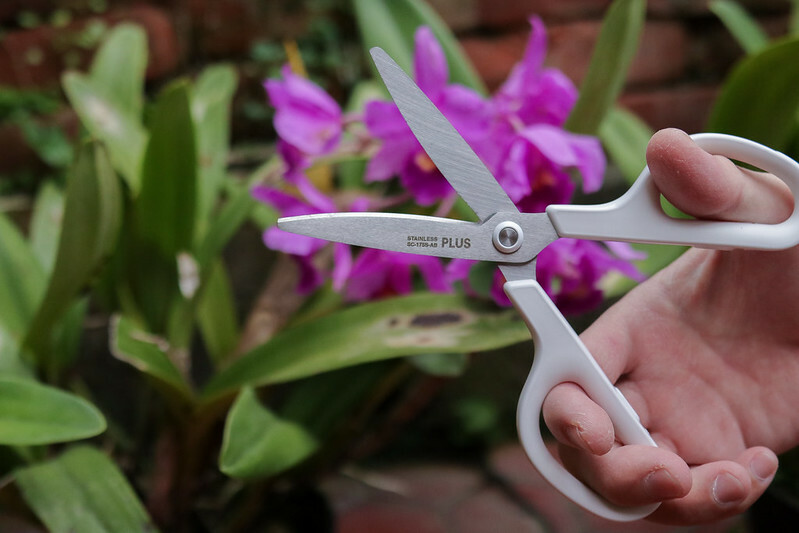 20221101剪刀-18 20221101剪刀-18