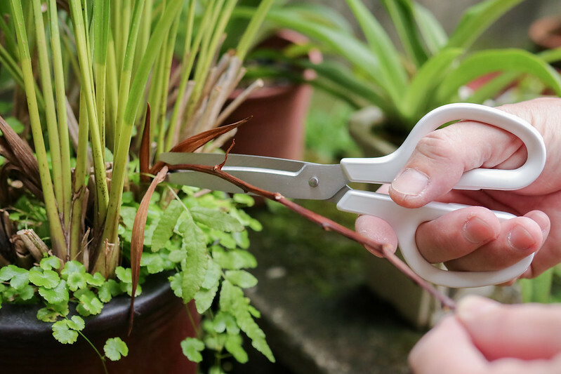 20221101剪刀-15 20221101剪刀-15