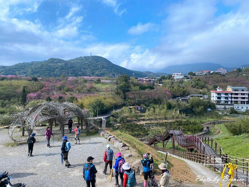 鵝尾山水田~稻浪棧橋欣賞梯田風光 @Bernice的隨手筆記