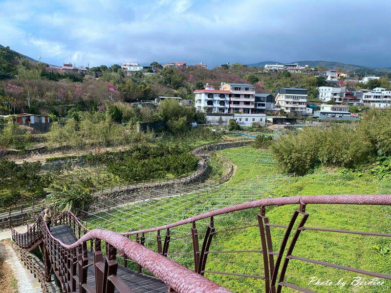 鵝尾山水田~稻浪棧橋欣賞梯田風光 @Bernice的隨手筆記