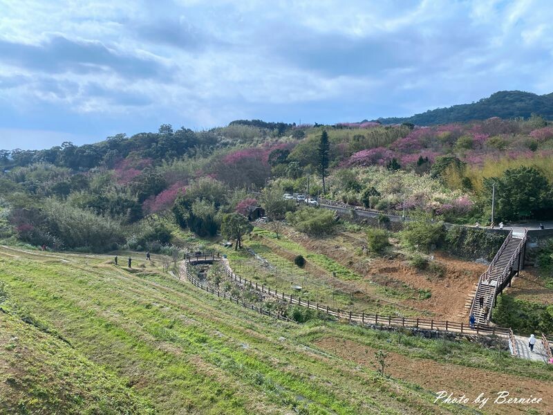 鵝尾山水田~稻浪棧橋欣賞梯田風光 @Bernice的隨手筆記