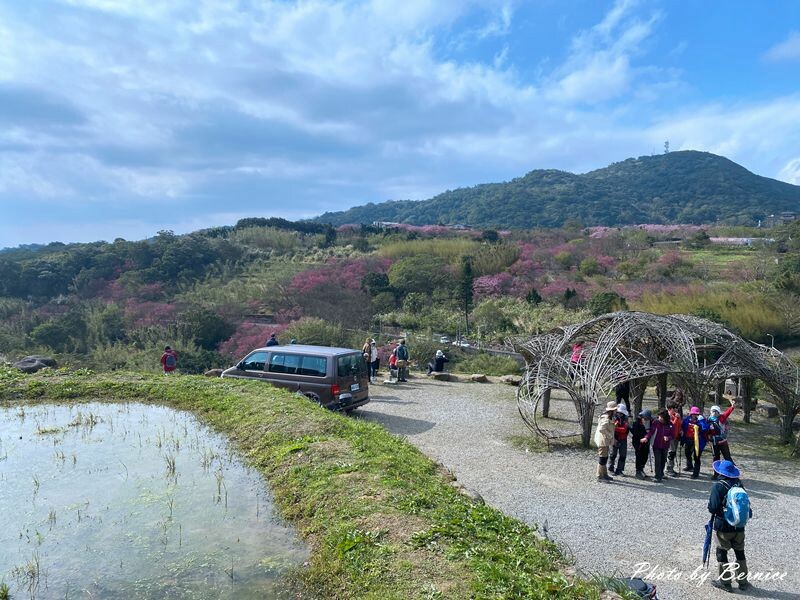鵝尾山水田~稻浪棧橋欣賞梯田風光 @Bernice的隨手筆記