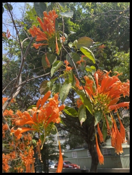 慢旅新竹【Hotel Avenue 大道城飯店】尋找百年熟成的竹塹城,充滿古蹟卻又處處創新的風城-兒童節限定篇 帶你