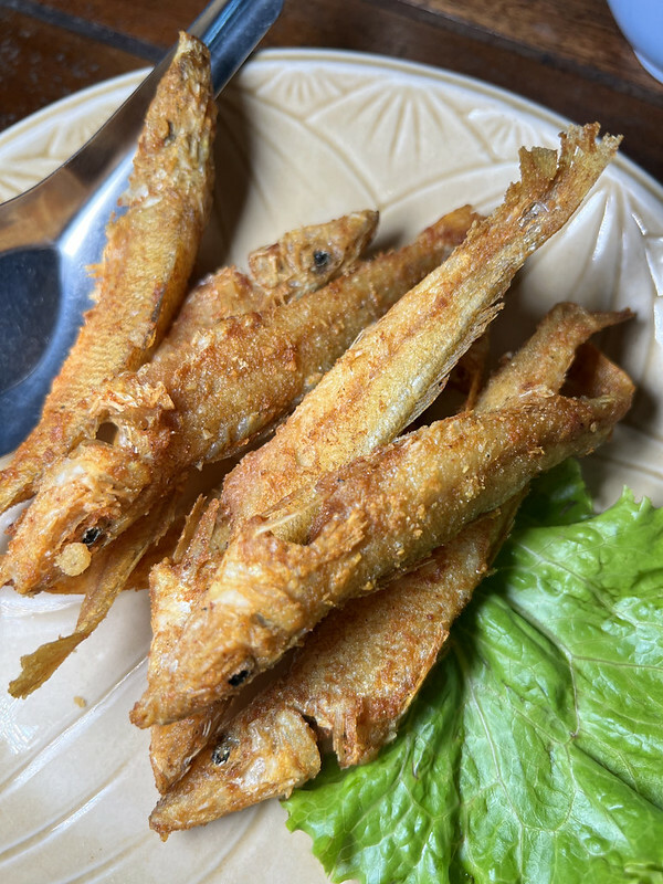 【亞洲，泰國，普吉島Phuket】Nam YOI Restaurant（Naam Yoi）ร้านอาหารน้ำย้อย，越在地化，越國際化的米其