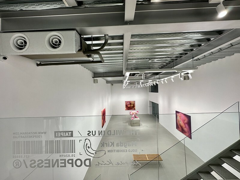 【台灣，台北市，大安區】台北越來越曼谷，意外路過神秘的展覽空間「DOPENESS ART LAＢ」；巧遇波蘭藝術家 MAGDA KI