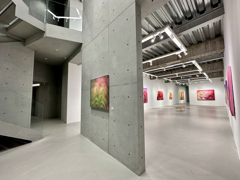 【台灣，台北市，大安區】台北越來越曼谷，意外路過神秘的展覽空間「DOPENESS ART LAＢ」；巧遇波蘭藝術家 MAGDA KI