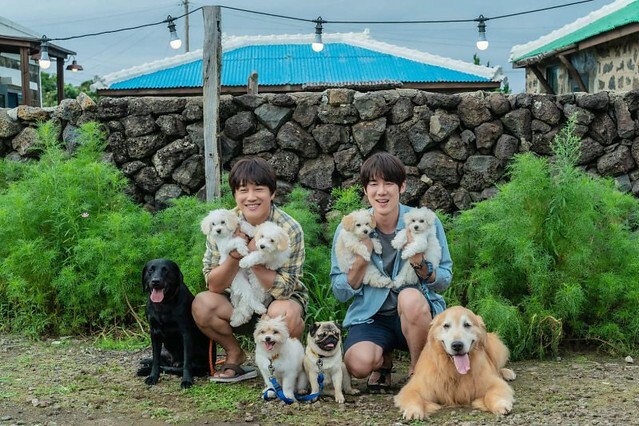 The Movie posters and stills of Korean Movie