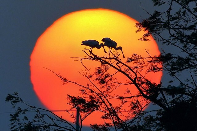 The Movie posters and stills of Taiwan record movie