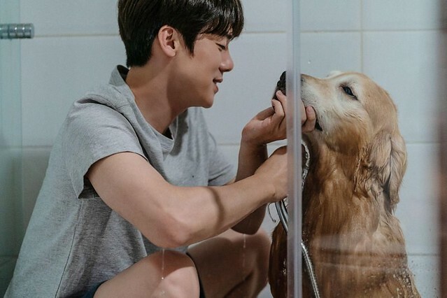 The Movie posters and stills of Korean Movie