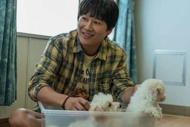 The Movie posters and stills of Korean Movie