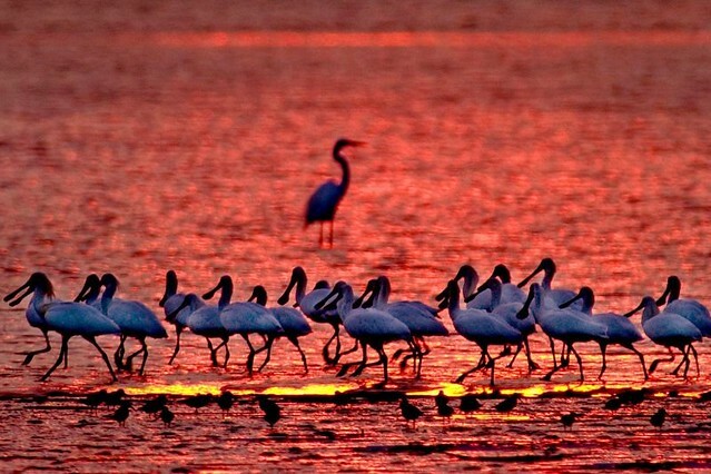 The Movie posters and stills of Taiwan record movie