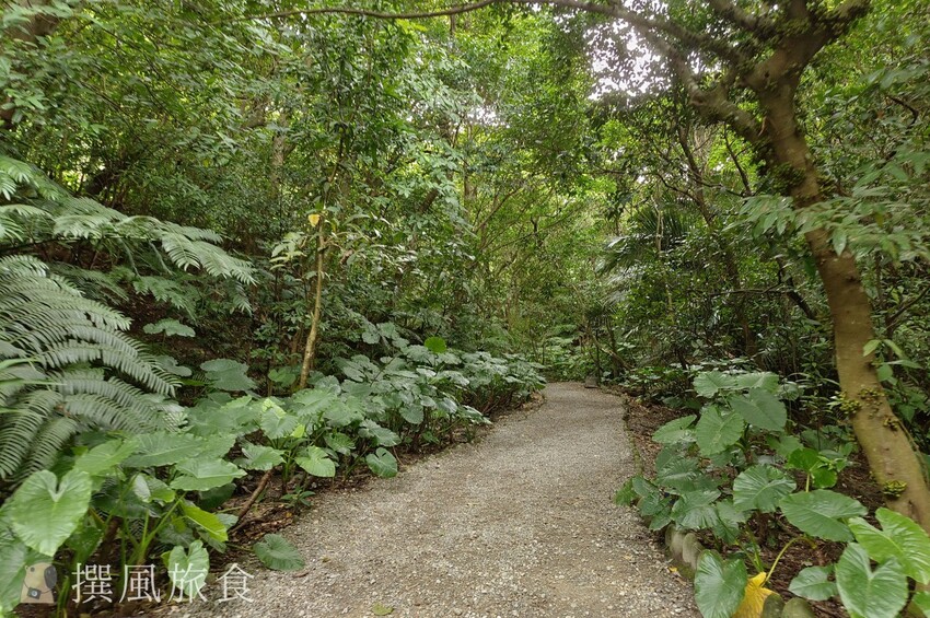「台北大縱走第六段」中華科大至麟光站,絕美拇指山360度北市風景