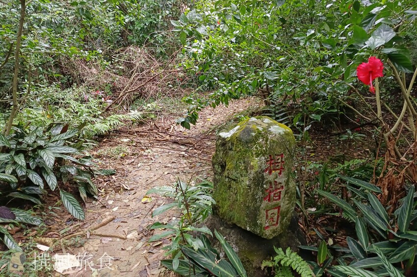 「台北大縱走第六段」中華科大至麟光站,絕美拇指山360度北市風景