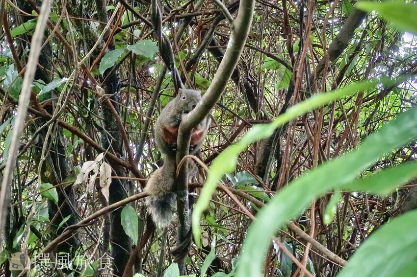 「台北大縱走第六段」中華科大至麟光站,絕美拇指山360度北市風景
